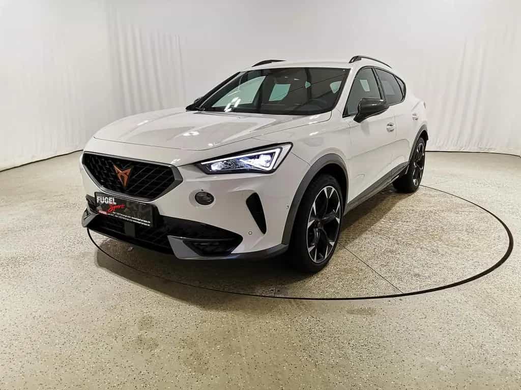Cupra Formentor 2.0 TSI DSG VZ Winter|LED|Navi|ACC|RFK 07/2022-photo-1