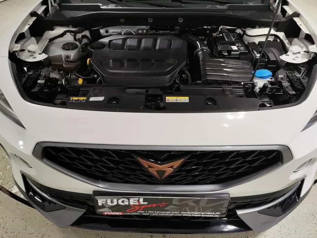 Cupra Formentor 2.0 TSI DSG VZ Winter|LED|Navi|ACC|RFK 07/2022-photo-19