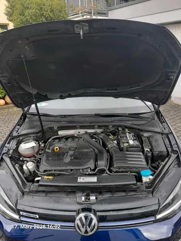 Volkswagen VW Golf bluemotion 09/2019-photo-4