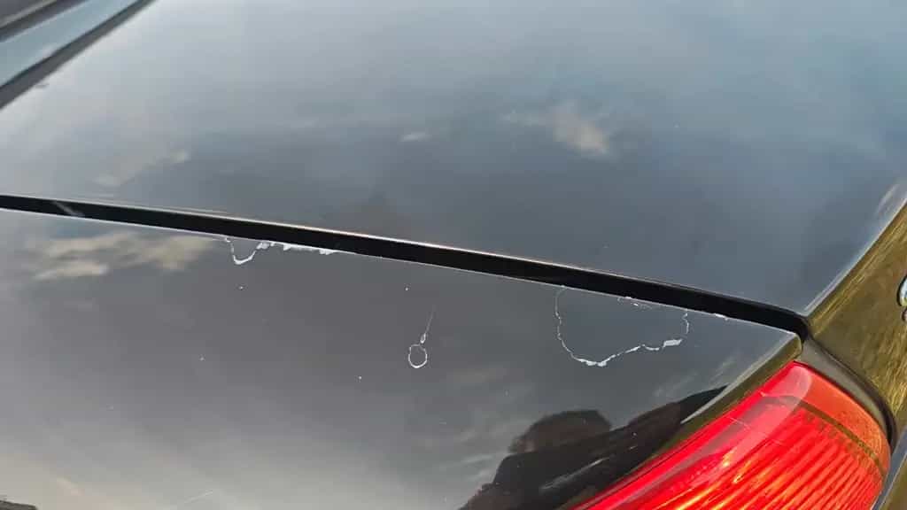 Chrysler Sebring JR 2.7 Cabrio Volleder 05/2003-photo-5