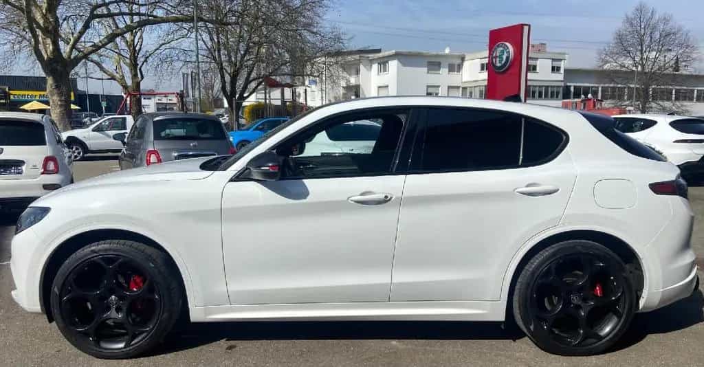 Alfa Romeo Stelvio Tributo Italiano Q4 03/2024-photo-4