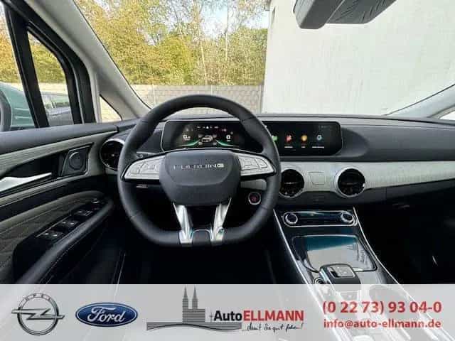 DFSK Forthing 4 unterwegs zu uns --> M4-grün null-photo-15