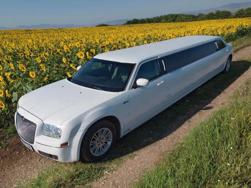Chrysler 300 140-inch Stretch Limousine by Pinnacle 01/2005-photo-0