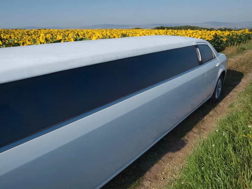 Chrysler 300 140-inch Stretch Limousine by Pinnacle 01/2005-photo-1