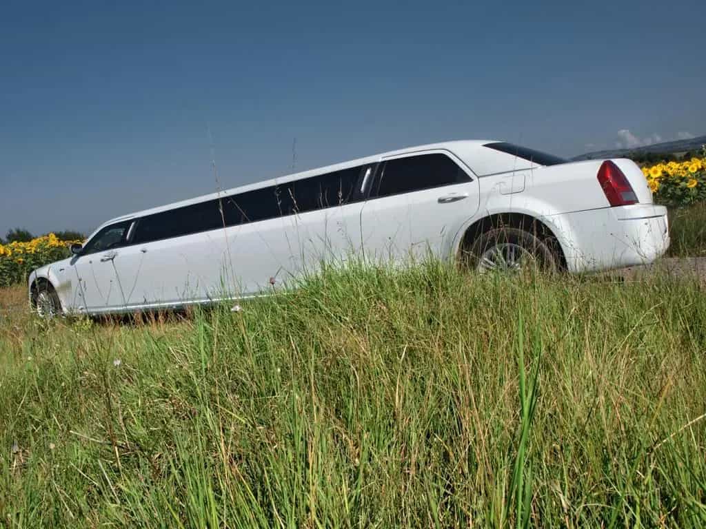 Chrysler 300 140-inch Stretch Limousine by Pinnacle 01/2005-photo-5