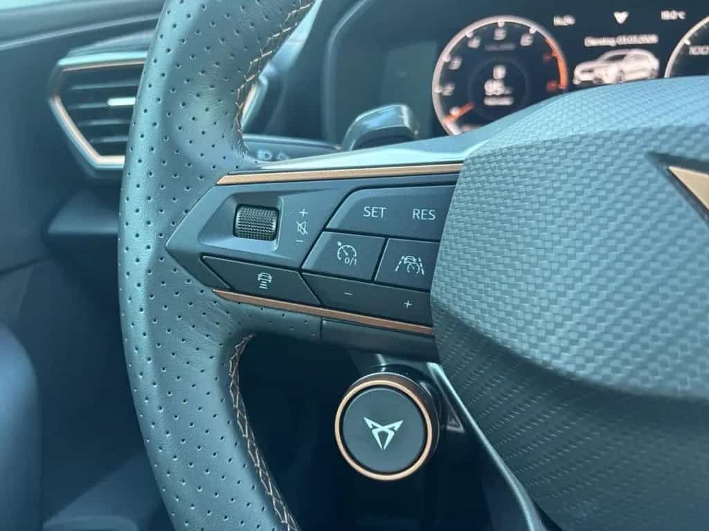 Cupra Formentor VZ Tribe Edition Akra Pano 360° Beats 02/2024-photo-26