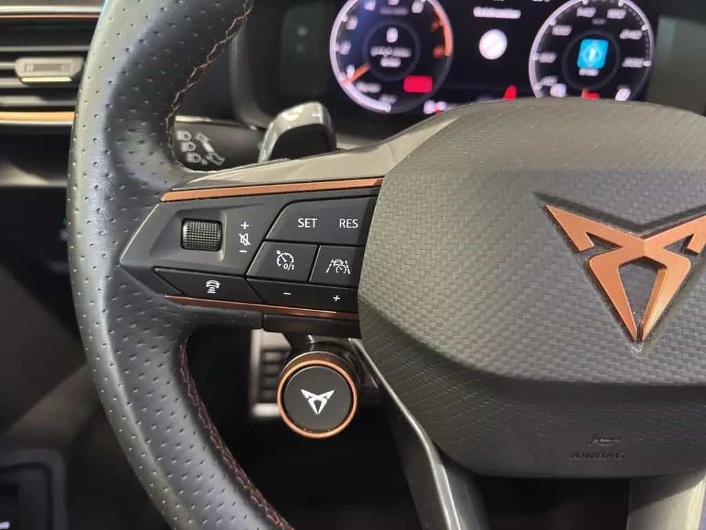 Cupra Formentor 2.0 TSI DSG 4Drive VZ MATRIX-LED NAVI 03/2023-photo-17
