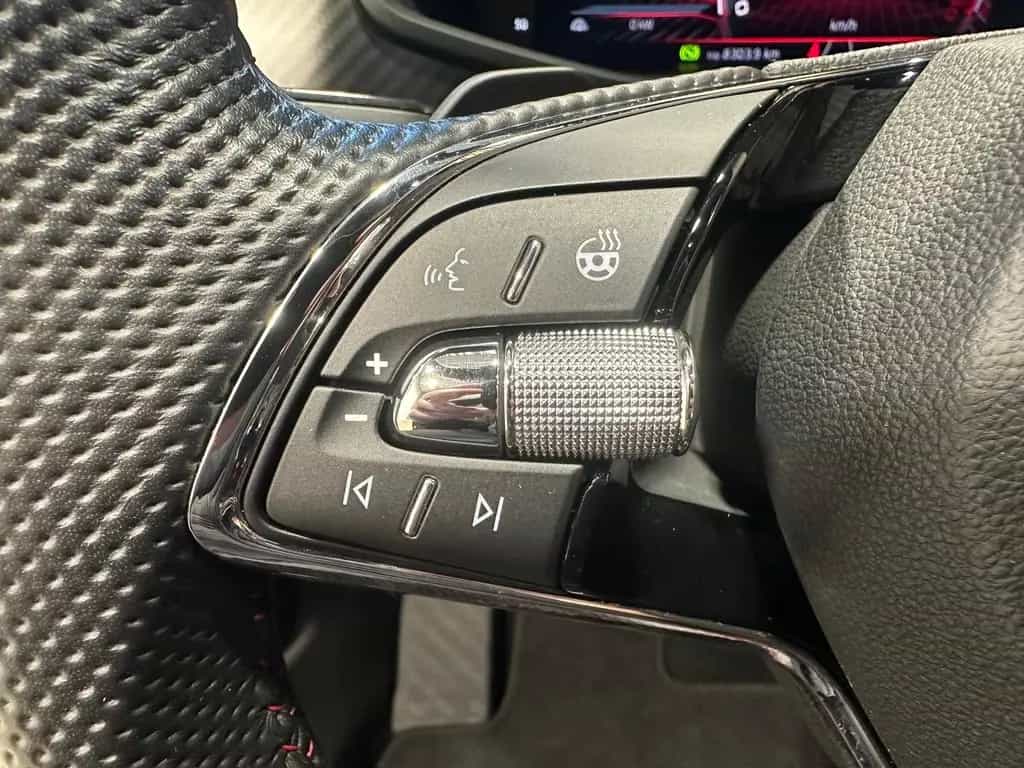 Skoda Kodiaq 2.0 TSI RS 4x4 Matrix|AHK|Pano|Navi|Stand 09/2022-photo-14