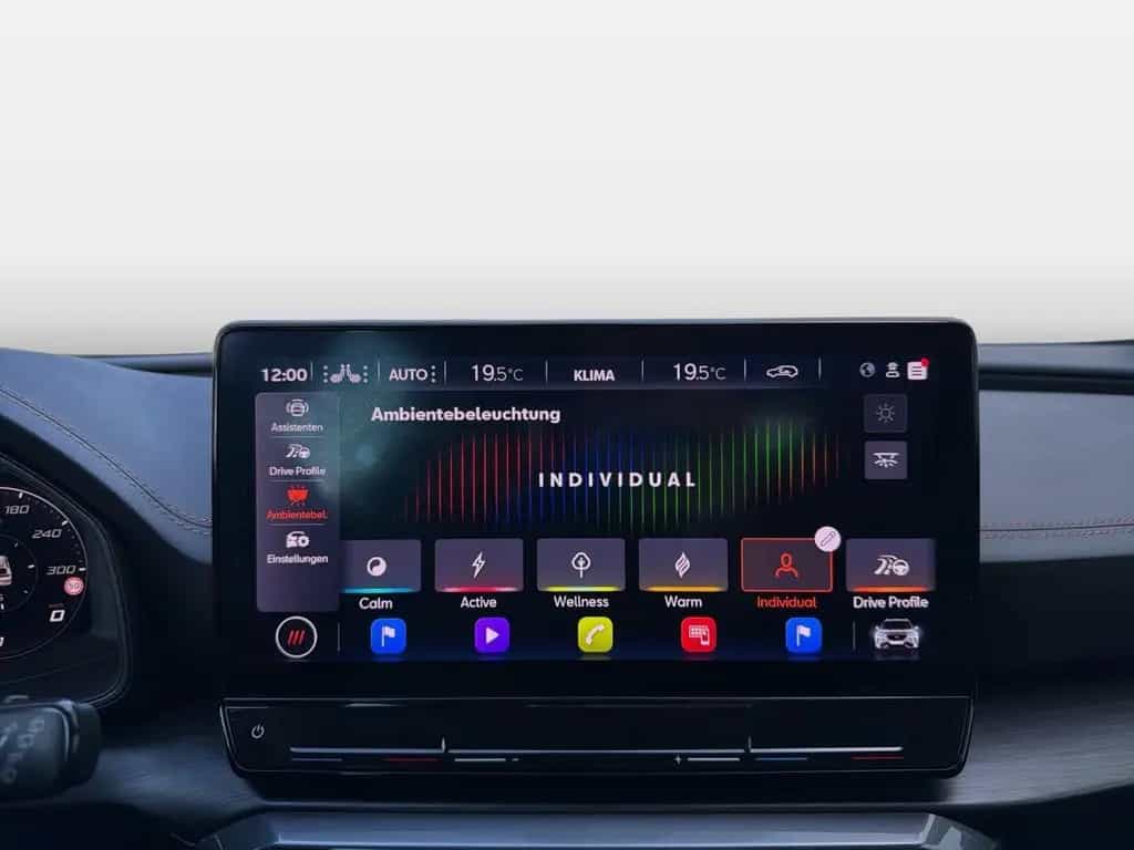 Cupra Formentor 2.0 TSI VZ AHK eSD 19"LEDER BeatsAudio 02/2023-photo-11