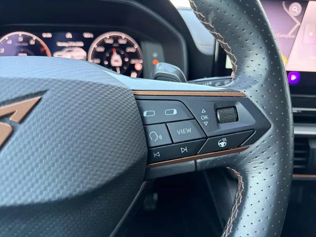 Cupra Formentor 2.0 TSI VZ AHK eSD 19"LEDER BeatsAudio 02/2023-photo-13