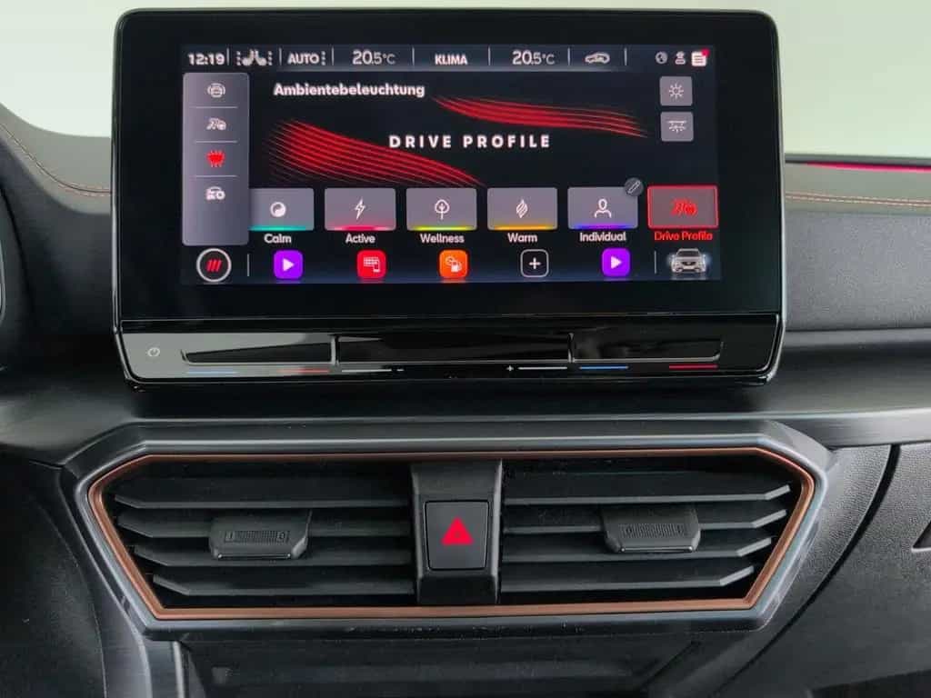 Cupra Formentor 1.5 TSI ACC CarPlay Allwetter Shzg Lhz 11/2023-photo-38
