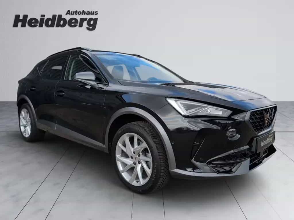 Cupra Formentor 1.5 TSI ACC CarPlay Allwetter Shzg Lhz 11/2023-photo-6