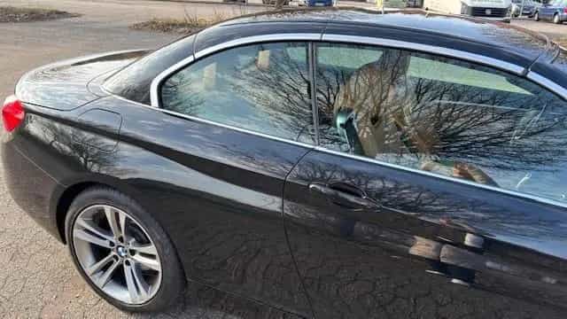 BMW 4 Series 420i Cabrio Sport Line A Sport Line 04/2018-photo-1