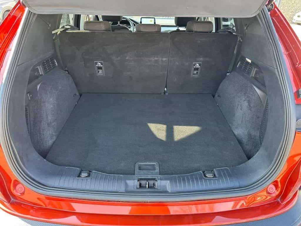Ford Kuga 1.5 TITANIUM Allwetter Kamera Shz Lhz 09/2020-photo-6