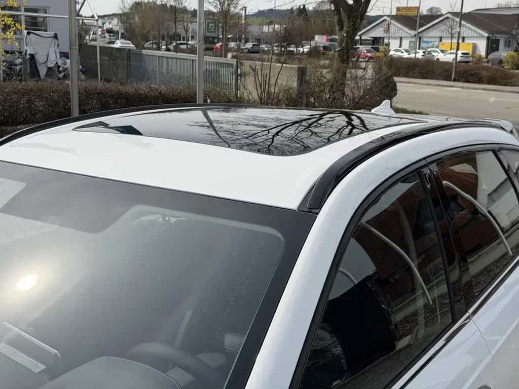GWM HAVAL Jolion Pro Premium / Sitzheizung/Panorama null-photo-13