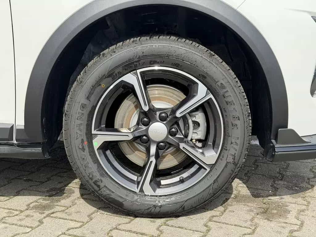 GWM HAVAL Jolion Pro Premium / Sitzheizung/Panorama null-photo-9