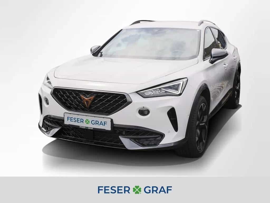Cupra Formentor VZ 2.0 TSI DSG Navi Kamera LED SiHz 02/2024-photo-0
