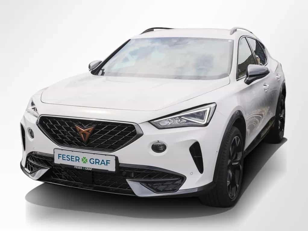 Cupra Formentor VZ 2.0 TSI DSG Navi Kamera LED SiHz 02/2024-photo-10