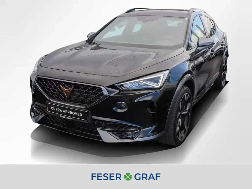Cupra Formentor VZ 2.0 TSI DSG Navi Kamera LED SiHz 03/2024-photo-0
