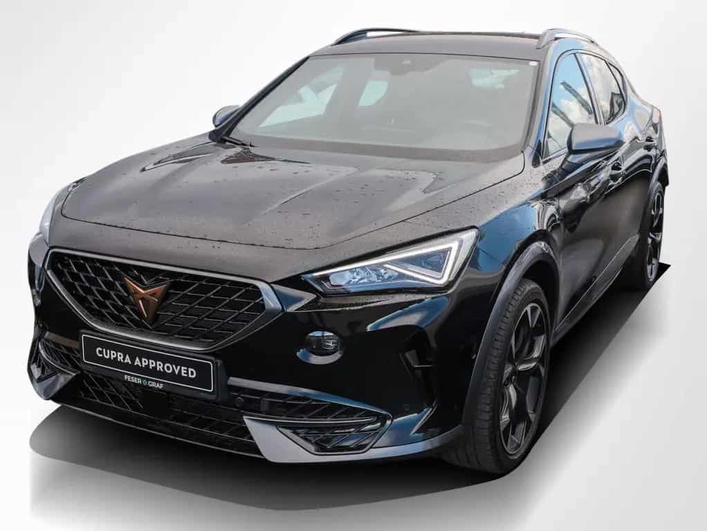 Cupra Formentor VZ 2.0 TSI DSG Navi Kamera LED SiHz 03/2024-photo-10
