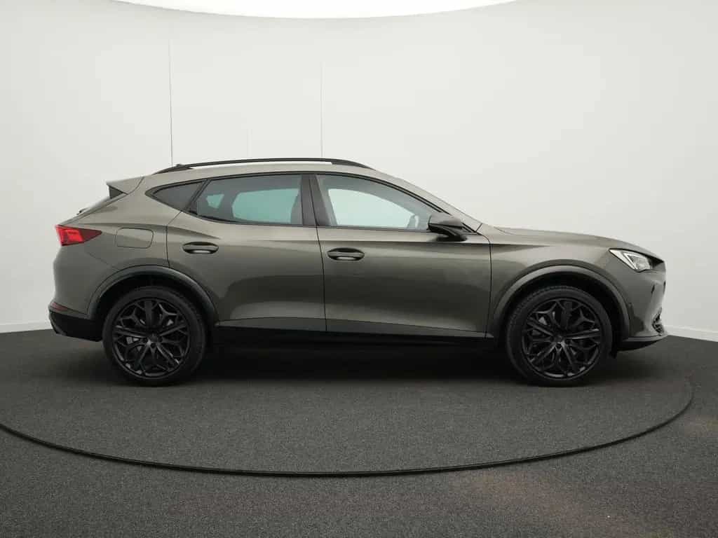 Cupra Formentor VZ Tribe Edition 2.0 TSI 03/2024-photo-10
