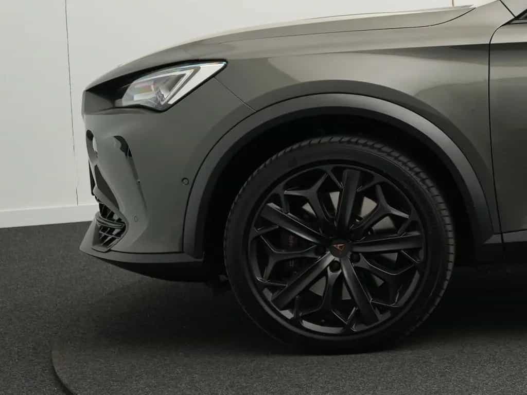 Cupra Formentor VZ Tribe Edition 2.0 TSI 03/2024-photo-15