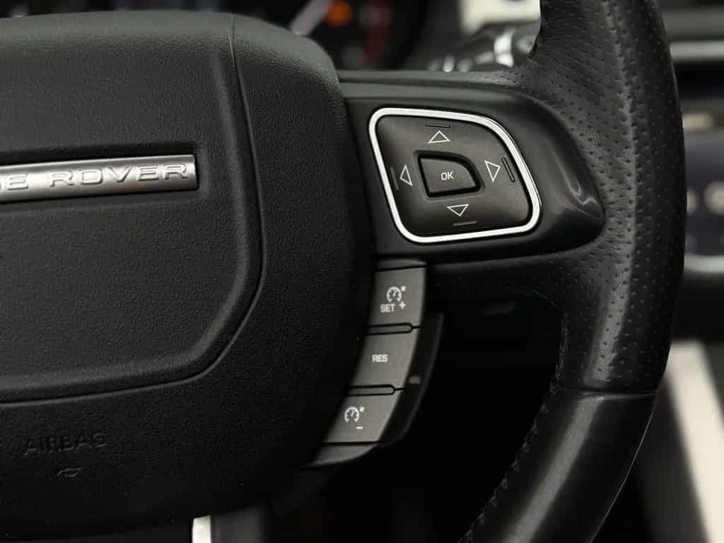 Land Rover Range Rover Rover Evoque Cabrio TD4 SE Dynamic, Leder 11/2018-photo-8