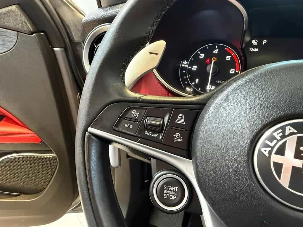 Alfa Romeo Stelvio 2.2 Turbodiesel 190 CV AT8 Q4 01/2020-photo-12