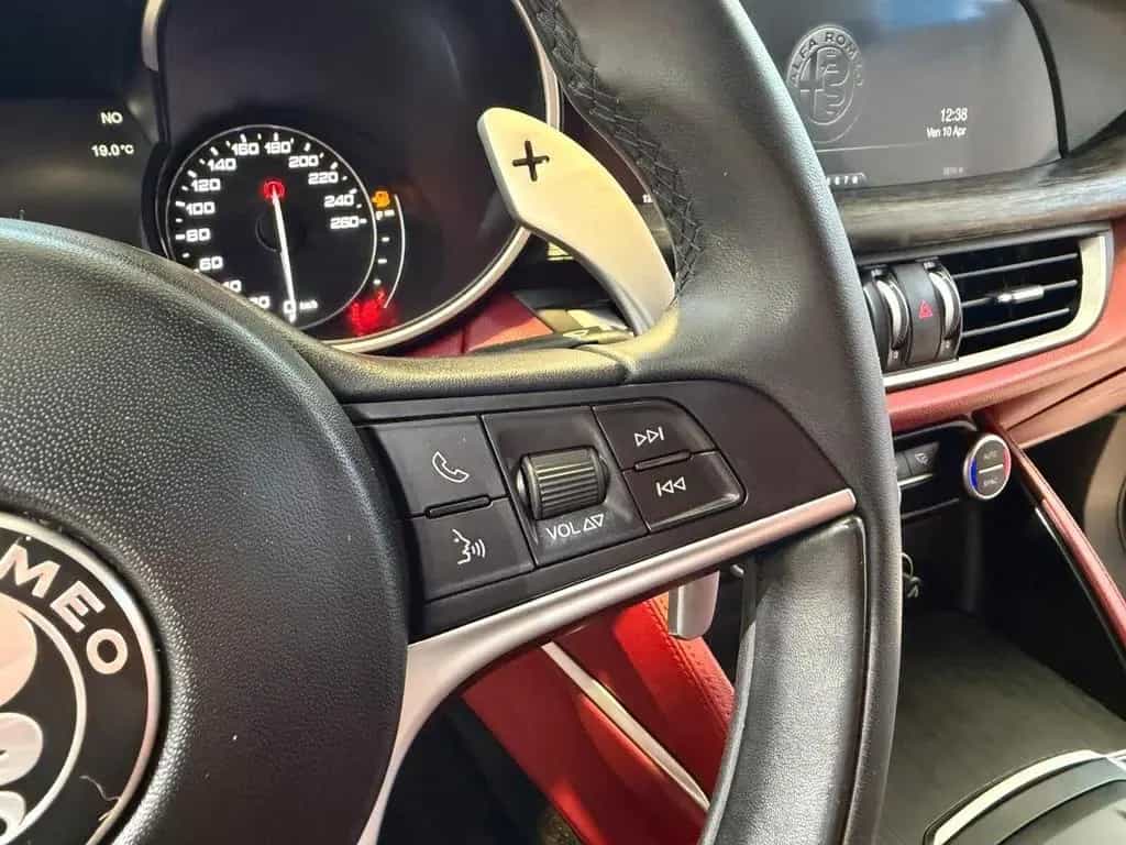 Alfa Romeo Stelvio 2.2 Turbodiesel 190 CV AT8 Q4 01/2020-photo-13