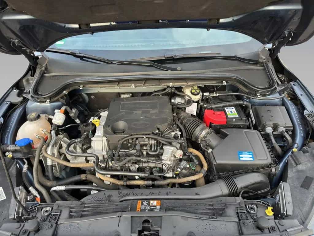 Ford Focus Lim. ST-Line*LED*KAMERA*ALU*SHZ*EFH* 12/2020-photo-21