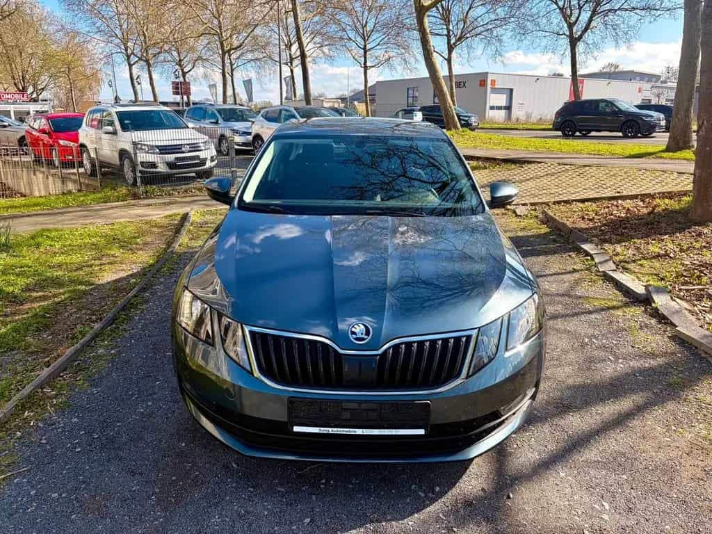 Skoda Octavia Lim. Ambition 06/2017-photo-5