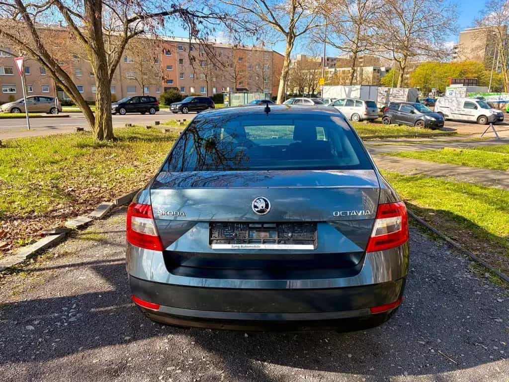 Skoda Octavia Lim. Ambition 06/2017-photo-6