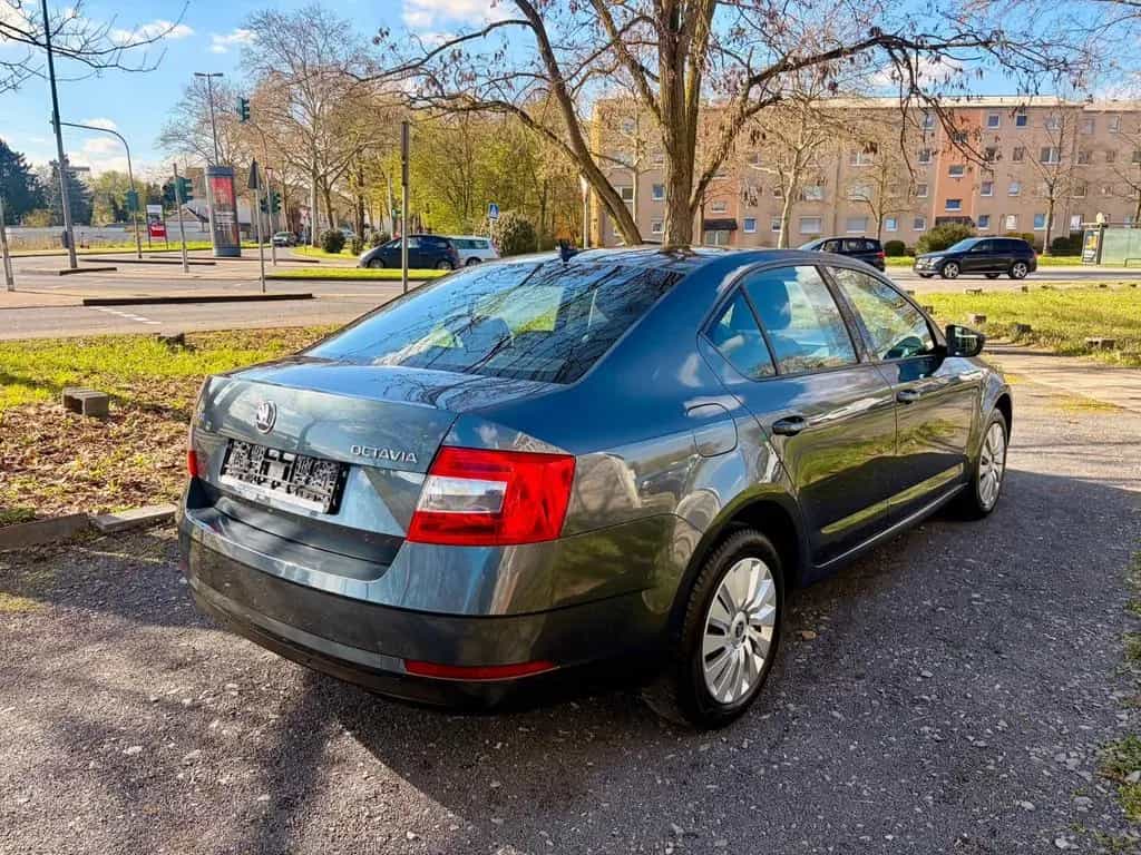 Skoda Octavia Lim. Ambition 06/2017-photo-7