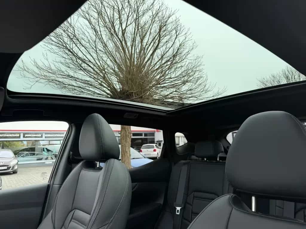 Nissan Qashqai Tekna+ 06/2019-photo-14