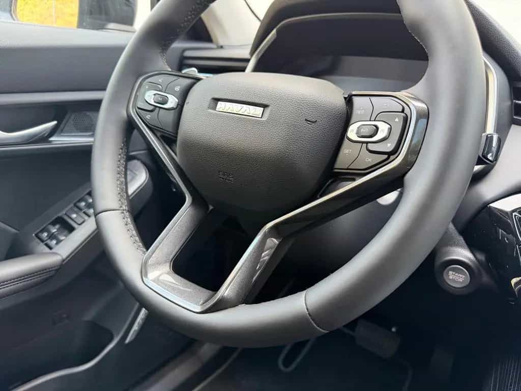 GWM Haval Jolion Pro Luxury null-photo-14