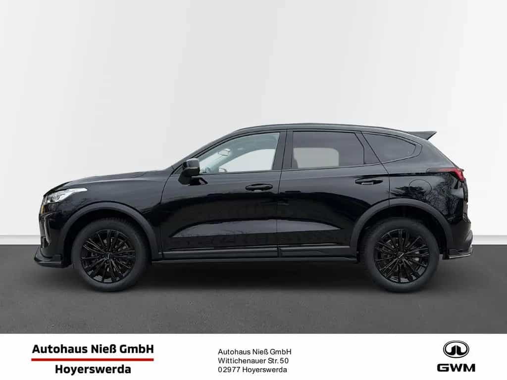 GWM Haval Jolion Pro Luxury null-photo-3