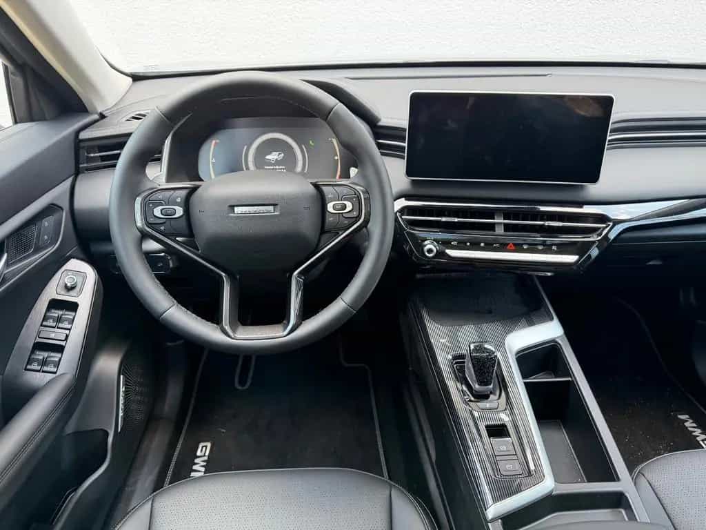 GWM Haval Jolion Pro Luxury null-photo-7