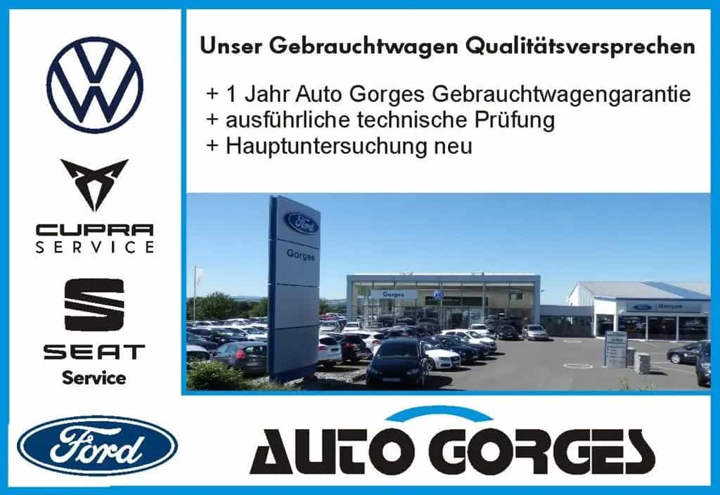 Ford Focus Active 1,0 EcoBoost +SHZ+BEH.FS+BEH.MFL+ 01/2019-photo-2