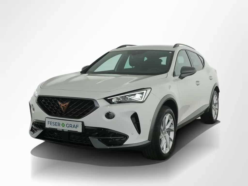 Cupra Formentor 1.5TSI DSG DAB ACC Full Link Virtual 03/2023-photo-15