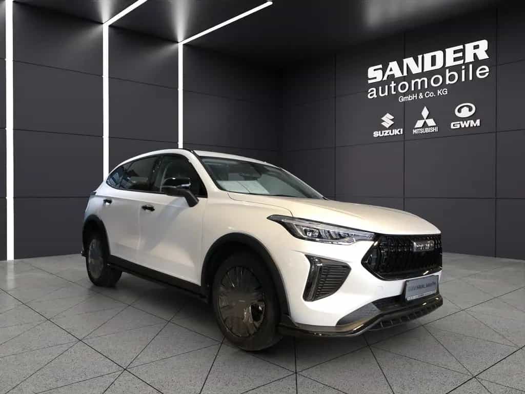 GWM Haval Jolion Pro Luxury 360`/Pano/LED/Leder* null-photo-3