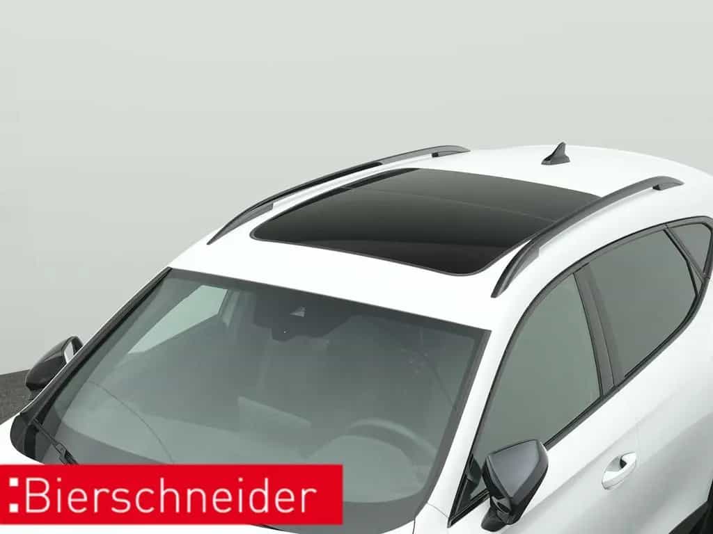 Cupra Formentor 2.0 TSI DSG 4Dr. VZ 5-J-GAR PANO AHK S 05/2025-photo-22