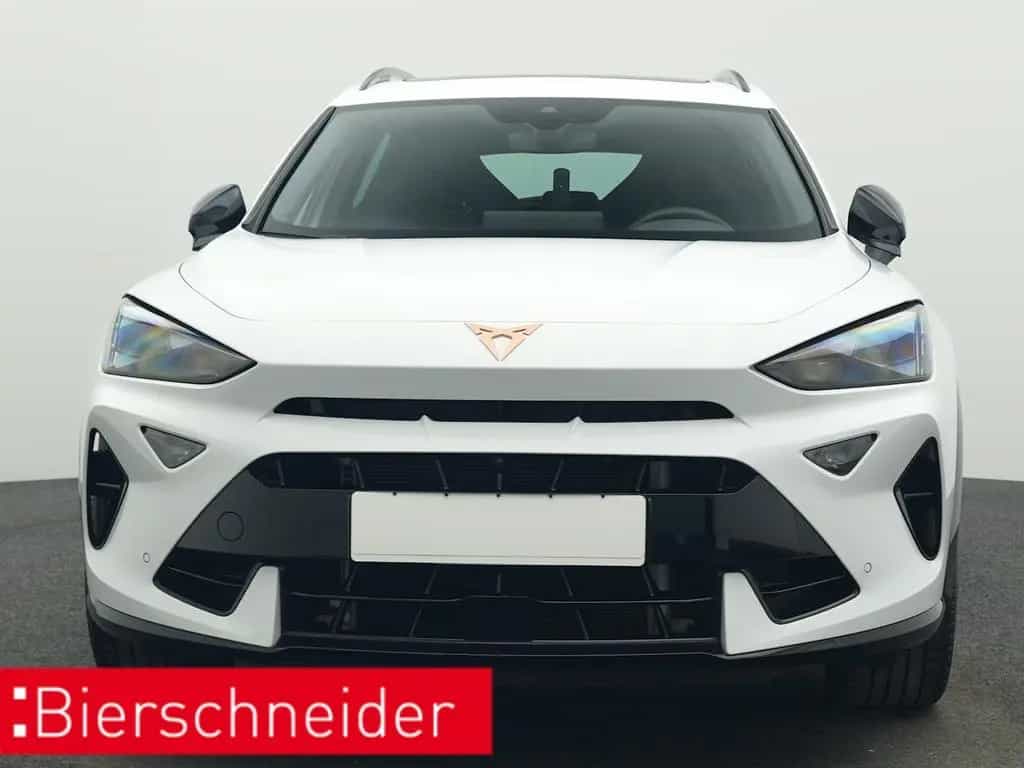 Cupra Formentor 2.0 TSI DSG 4Dr. VZ 5-J-GAR PANO AHK S 05/2025-photo-9