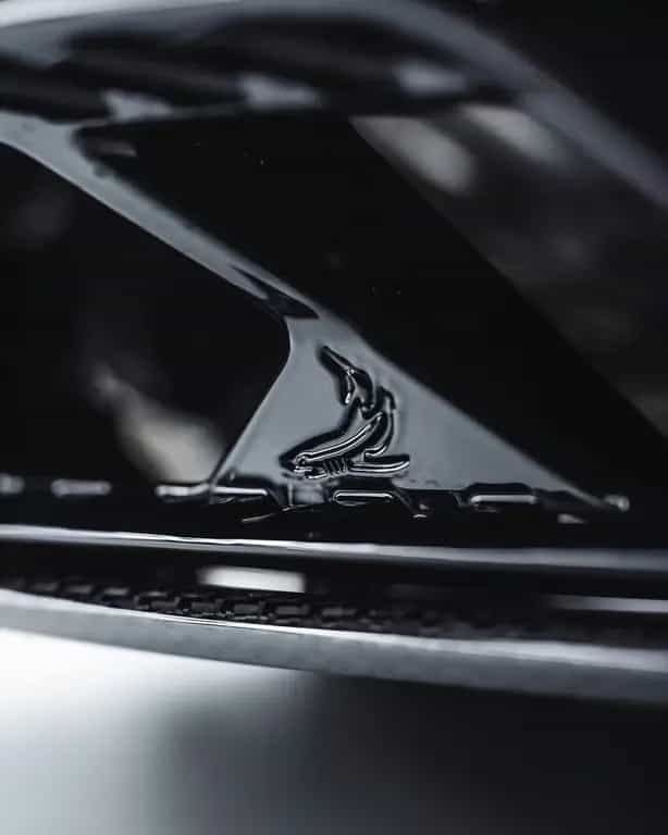 Lamborghini Performante TopCar R'Evo Stealth Edition 02/2025-photo-10