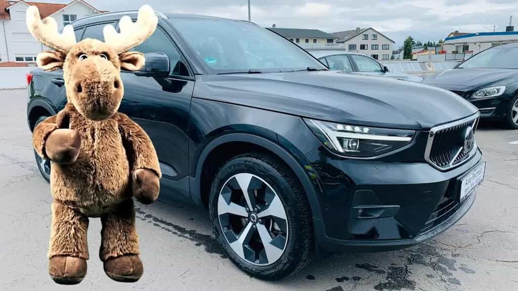 Volvo XC40 B3 B Aut. Navi 360° PILOT BLIS ACC PIXEL 11/2024-photo-10