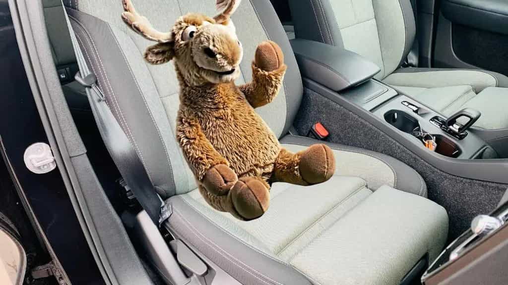 Volvo XC40 B3 B Aut. Navi 360° PILOT BLIS ACC PIXEL 11/2024-photo-15