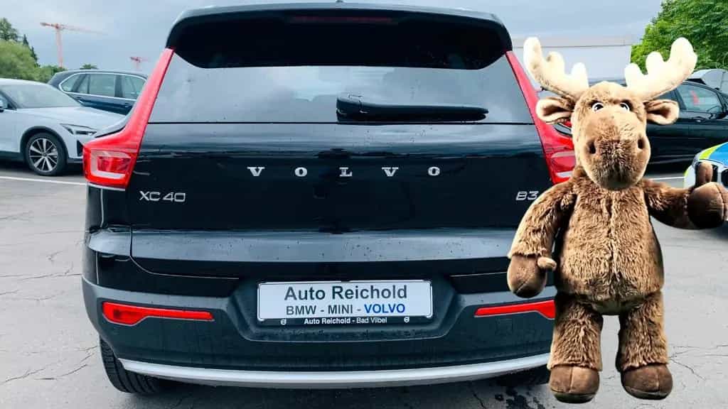 Volvo XC40 B3 B Aut. Navi 360° PILOT BLIS ACC PIXEL 11/2024-photo-7