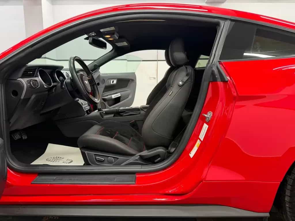 Ford Mustang 2.3 Eco/Race-Red/Navi/R.Kam/Design-Leder 07/2019-photo-18
