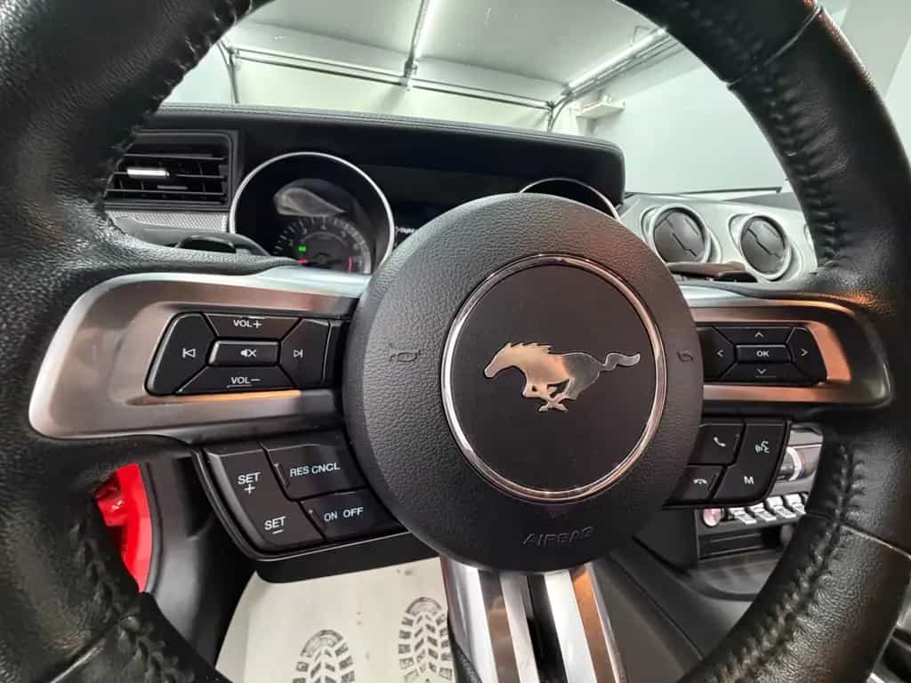 Ford Mustang 2.3 Eco/Race-Red/Navi/R.Kam/Design-Leder 07/2019-photo-27