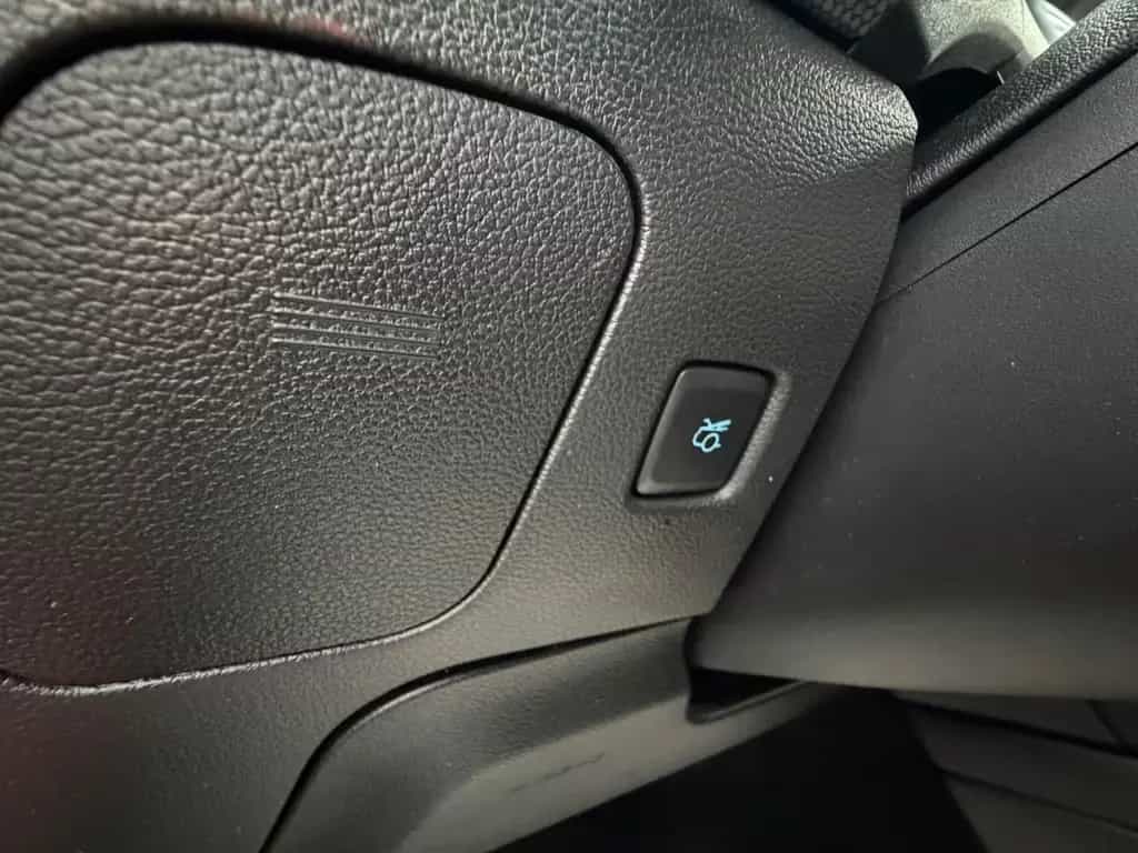 Ford Mustang 2.3 Eco/Race-Red/Navi/R.Kam/Design-Leder 07/2019-photo-31