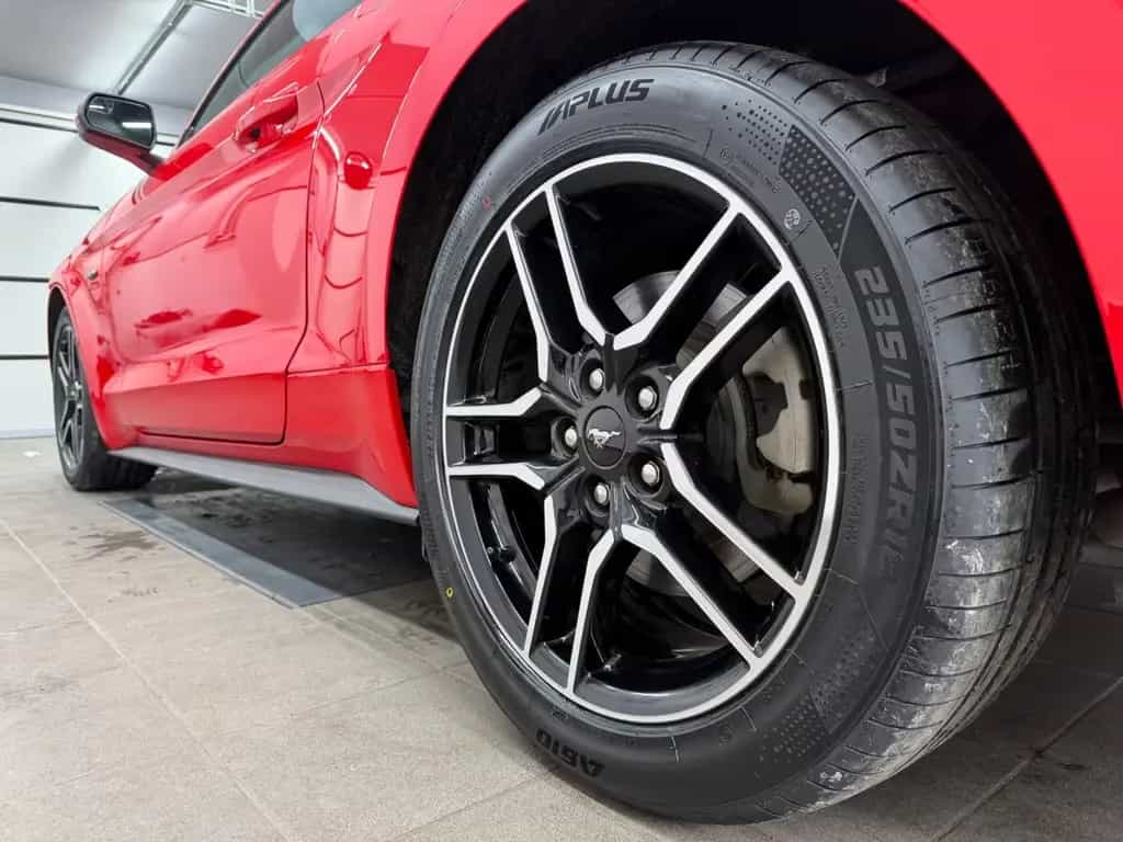 Ford Mustang 2.3 Eco/Race-Red/Navi/R.Kam/Design-Leder 07/2019-photo-8